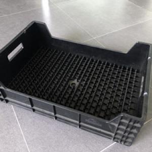 Tulip bulb preparation box mold 