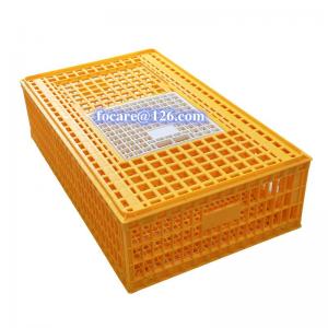 Plastic poultry chicken transport box crate injection mold