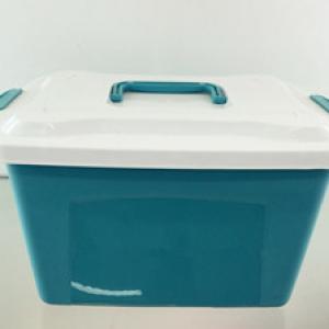 Plastic storage container mold 